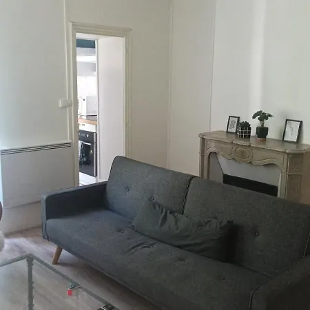 Familial Fleur De Coton - Centre-ville Ντιζόν